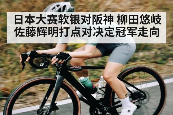 日本大赛软银对阪神 柳田悠岐佐藤辉明打点对决定冠军走向 | c7c7.app